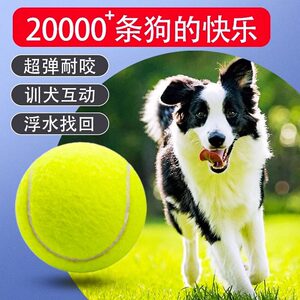 Dog toy ball self -relieving stuffy artifact Pet Pets Gold Mao Corki Black Big Training Mask Tennis Rubber