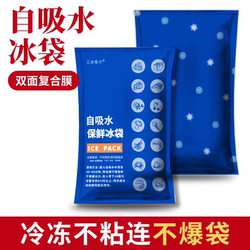 Self-Absorbing Water Ice Packs for Express Delivery, Special for Freezing, Double-Sided Film, Perforated, Disposable, Reusable, for Transportation, Fresh-Keeping, Commercial Use