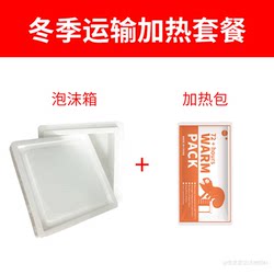 Pet Reptile Transport Insulation and Heating Bag Set