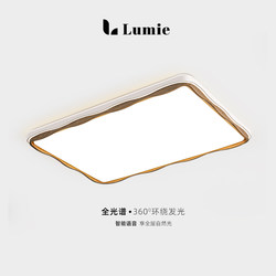 French-Style Vintage Living Room Main Light, Modern and Simple, 2026 New Model, Main Light for the Hall, Bedroom Eye-Protection Ceiling Light
