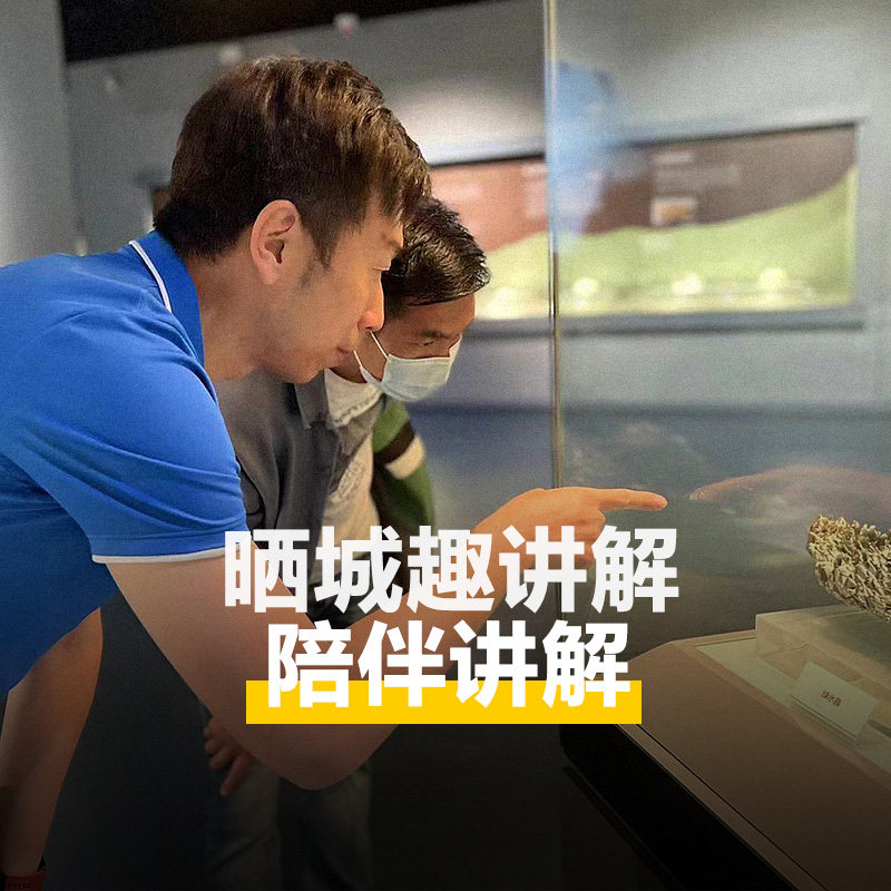 【错峰首选】大笙说@上海博物馆东馆半日游 /含耳麦/多馆套餐可选