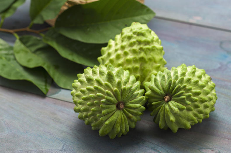 鲜水果又美味,挑出香甜可口释迦果(图9) 鲜水果又美味,挑出香甜可口释迦果(图9)