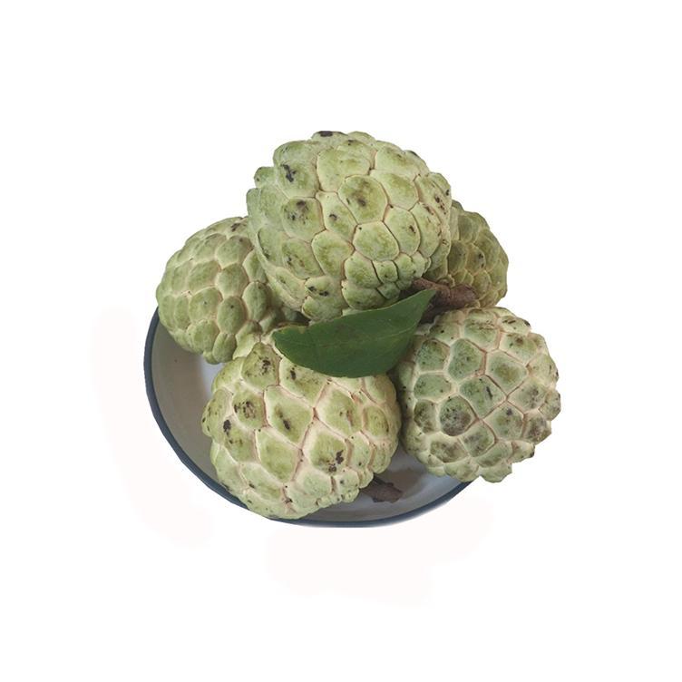 鲜水果又美味,挑出香甜可口释迦果(图12) 鲜水果又美味,挑出香甜可口释迦果(图12)