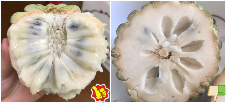 鲜水果又美味,挑出香甜可口释迦果(图11) 鲜水果又美味,挑出香甜可口释迦果(图11)