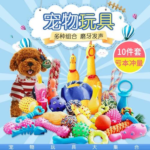 Игрушка для игрушек щенков, кусание щенков, измельчение зубов Corgi Teddy Gold Hair Crighing куриные домашние животные, чтобы снять душные продукты артефакта