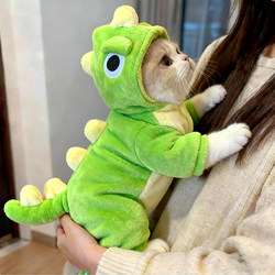 Cat Clothes for Autumn and Winter, Dinosaur Transformation Outfit, Warm Hooded Four-Legged Clothing, Silver Gradient Ragdoll Small Dog Cute Apparel