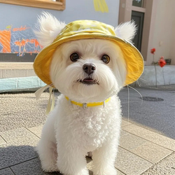 Cute Dog Hat with Exposed Ears, Cat Summer Sun Hat, Sun Hat for Teddy, Bichon, Corgi, Sunshade Fisherman Hat