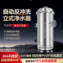 Vertical Whole-House Central Water Purifier, Large-Flow Stainless Steel Ultrafiltration Water Purifier, Household Tap Water Pre-Filter
