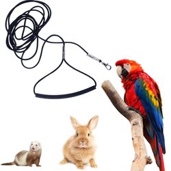 Parrot flight harness ultra-light release traction rope peony black phoenix walking bird release rope for training pet birds when going out