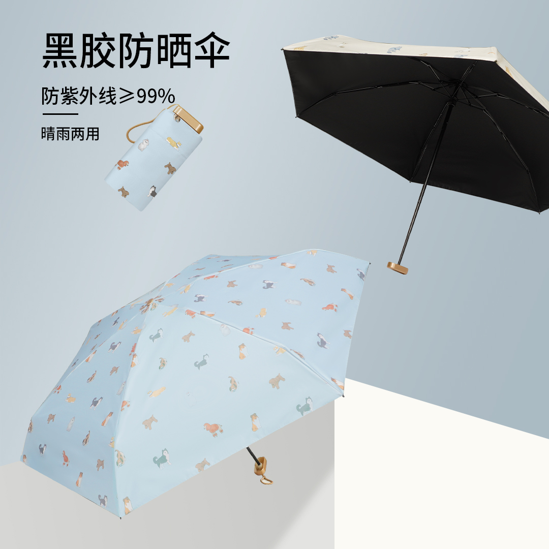      ̴  , ̽ ¾ , ʰ淮, ÷, 50% , ڿܼ   ڿܼ  -