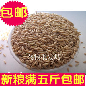 Smooth Miscellaneous Elberd Rice Rice Oat Oatmeal Naked Oats One piece is equal to one*0.5kg over 5*0.5kg free shipping
