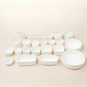 
Free shipping, normal delivery during the Spring Festival, succulent plants, large rectangular strips, round white ceramic combination pallets, small flower pots