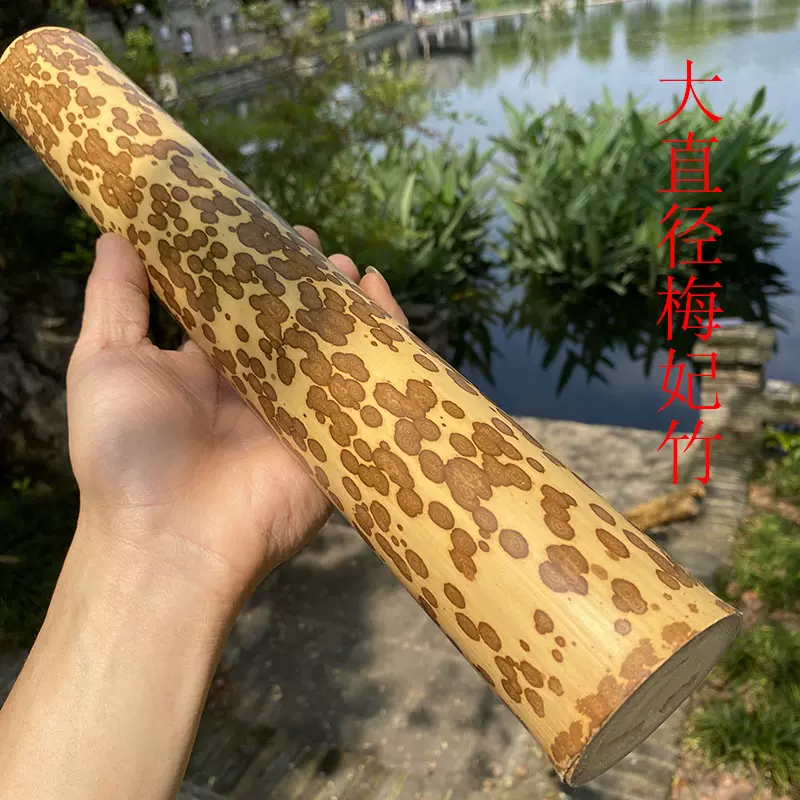 SALE，品質保証】 【流】煎茶道具 時代 湘妃竹 紅斑竹彫刻茶合 KW567