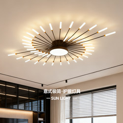 Living Room Main Light, High-End and Elegant, Creative Fireworks Ceiling Light, Light Luxury and High-End Feel, Master Bedroom, Dining Room Lighting Fixtures