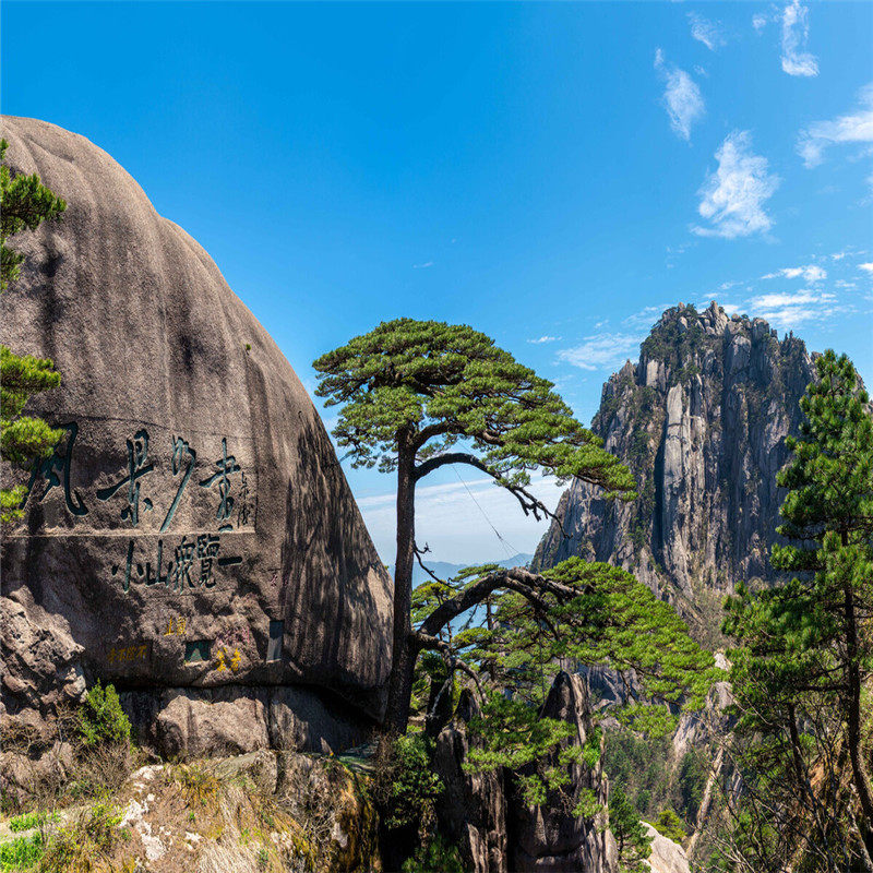 【天天发团 】黄山王牌线路 黄山风景区2日游 住山下