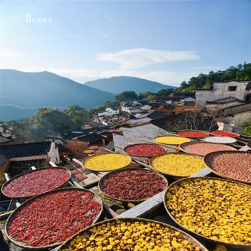 【皖南五星纯玩】徽州古城+婺源篁岭+黎阳水街品质2日游