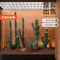 Simulated Cactus Landscaping, Tropical Desert Plants, Indoor Large-Scale Landscape Decoration, Scene Layout, Desert Green Plants