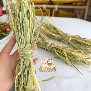
Mixed grass Meitijiati Omai is suitable for C rabbits, chinchillas, guinea pigs and convenient feeding mixed grass sections.
