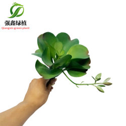 Simulated large succulents, desert roses, fake green plants, Nordic tropical desert plants, agave landscaping