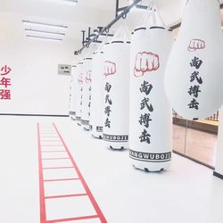Martial Arts, Boxing, Fighting, and Taekwondo Gym Floor Coverings, Single Upgrade Sports Floor Coverings, Single Combat Coverings, Single Ring Coverings