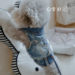 Dog Clothes for Autumn and Winter, Pet Teddy, Bichon, Cat, Teddy Dog Clothes, Summer Clothes, Autumn and Winter Denim Vest, Leash