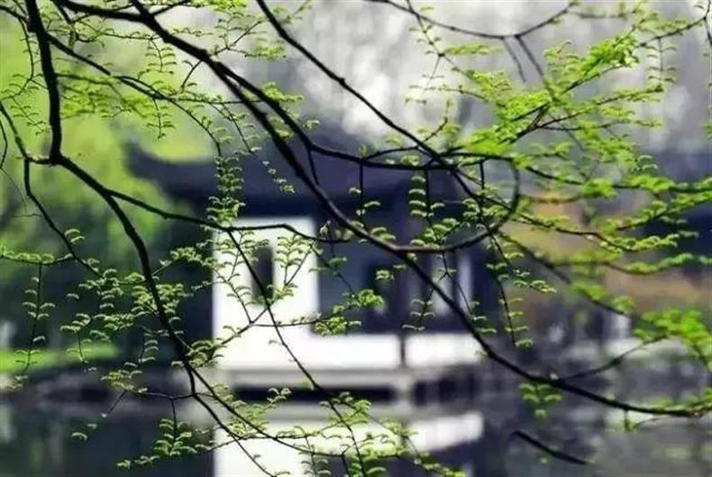 摄影 | 春天到了,这些摄影题材最容易出片-长沙SEO霜天