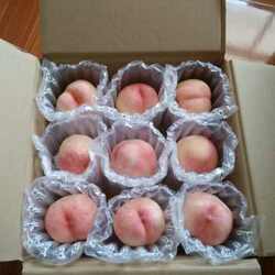 Peach-Shaped Air Column Bags, Apple and Melon Bubble Columns, Peach and Pear Express Delivery Foam Shockproof Packaging Bags, Cushioning Air Bags