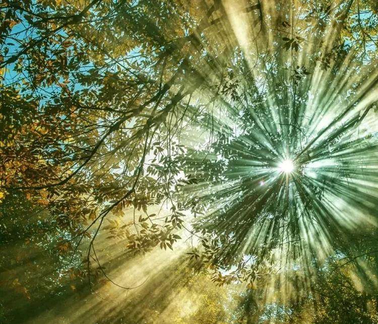 摄影技巧:强光下如何拍好人像照片?