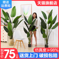 Nordic Large Window Display Artificial Plant Floor-Standing Traveler's Banana Tree Fake Potted Indoor Green Plant Ornament Areca Palm Decoration