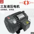 Động cơ bơm dầu SANYOU Sanyou SUH-20L 30L 1A 0,75 1,5 2,2 3,75 5,5 7,5KW mô tơ thủy lực cũ motor thủy lực bánh răng 