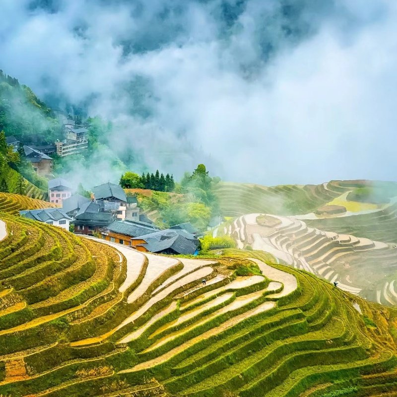桂林旅游5天4晚跟团游漓江四星游船龙脊梯田阳朔遇龙河纯玩五日游