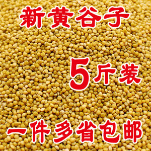 
Parrot food shelled yellow millet bird food tiger skin bird food peony food black phoenix food horizontal class shelled millet millet