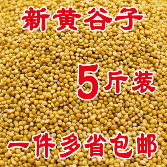 
Parrot food shelled yellow millet bird food tiger skin bird food peony food black phoenix food horizontal class shelled millet millet