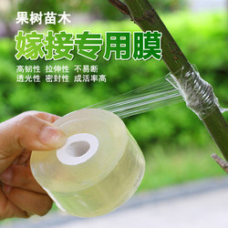 Grafting Film, Fruit Tree Wrapping Film, Bud Knot Wrapping Grafting Tape, Transparent Stretchable High-Quality Self-Adhesive Plastic Film