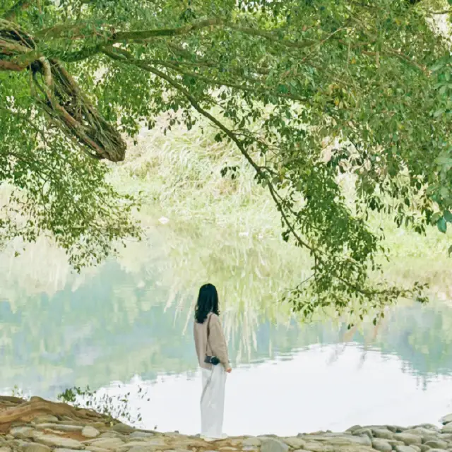 漳州土楼东山岛旅游5天4晚风动石南门湾沙滩鱼骨沙洲云水谣月港