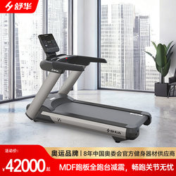 Shua Shuhua Commercial Treadmill V9 Electric Silent Gym Specialized Fitness Equipment Sh-T8919
