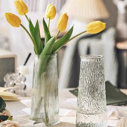 Vase Glass ins Style Light Luxury High-End Transparent Water Culture Dormitory Simple Flowers Living Room Dried Flower Arrangement Ornaments