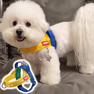 
Vest-style collar dog leash saddle harness adjustable summer breathable anti-breakaway dog walking rope collar