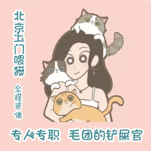 Beijing door -to -door fed cat service pet feeding on the same city to serve cat feeding
