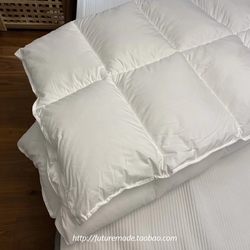 Super Elastic! Japanese Original~ Warmth-Enhancing Technology Thickened Feather Velvet Quilt Core for Autumn and Winter Hotel Double Bedding