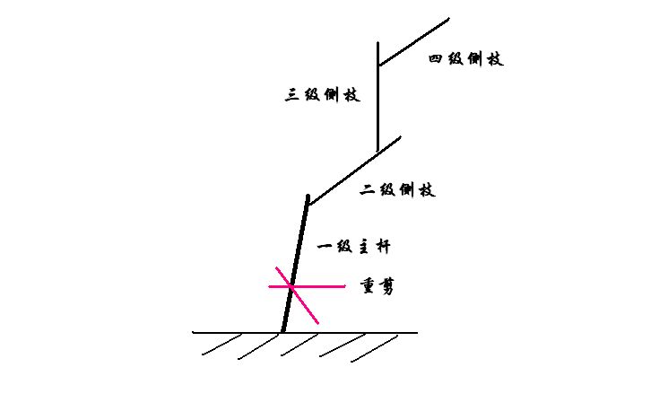 老花匠都在修剪月季，你还犹豫什么？33