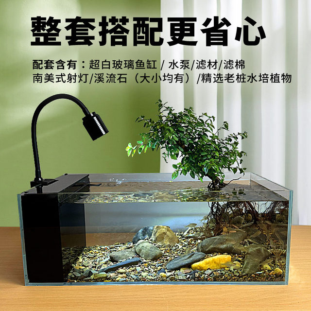 Stream Tank Diy Native stream tank full set of landscaping aquarium household living ...