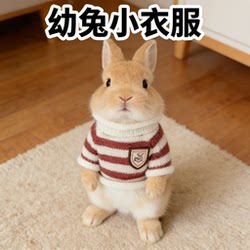 Cute Knitted Sweater for Baby Rabbits to Keep Warm in Winter, Mini Winter Clothing for Pets, Unique Rabbit Apparel Accessories