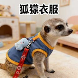 Meerkat Clothing with Matching Leash, Warm and Cute Outfits for Autumn, Winter, and Early Spring Outings, Pet Apparel and Supplies