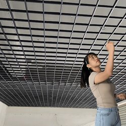 Aluminum Grid Ceiling Integrated Decorative Material Ceiling Self-Installation Cover-Up Grid Square Mesh Black Iron Grid Ceiling
