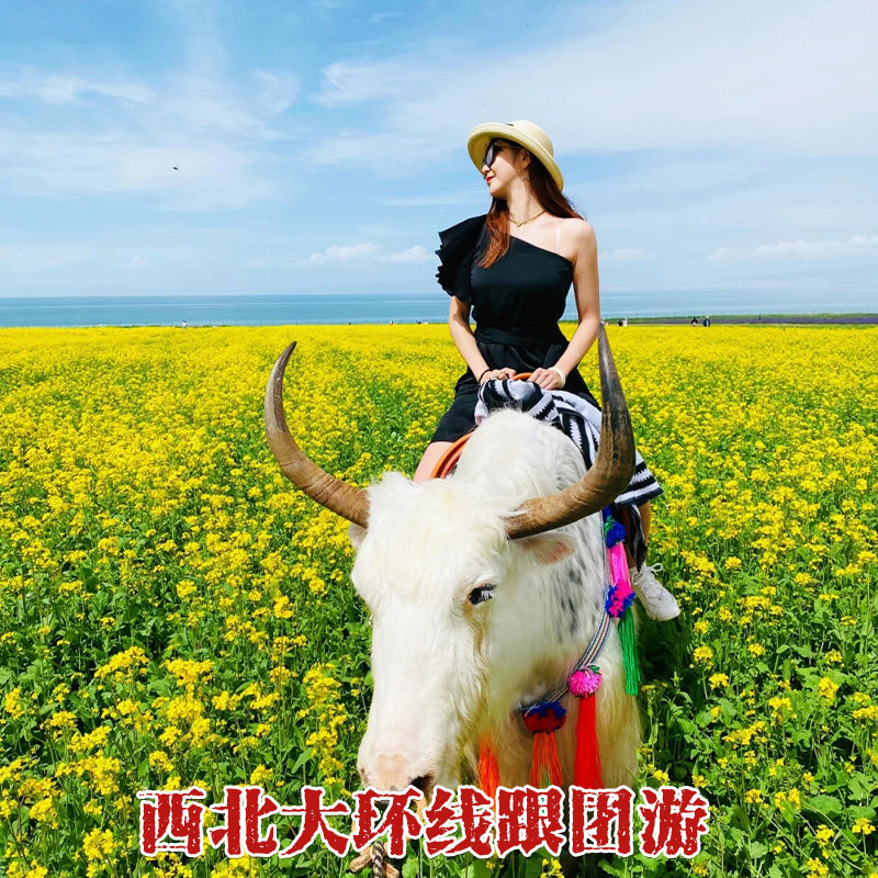 8人小团纯玩 青甘大环线青海旅游6天5晚拼车敦煌西北大环线跟团游