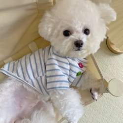 Pet Clothes for Summer, Comfortable at Home, Bichon Frise Puppy Pajamas, Thin Clothing, Small Dog Two-Legged Pajamas, Cute
