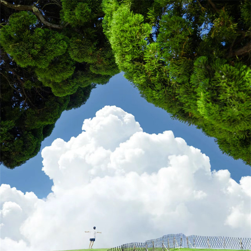 6人团|青岛威海5天4晚-5钻住宿+1晚海景酒店【赶海·0购物0自费】