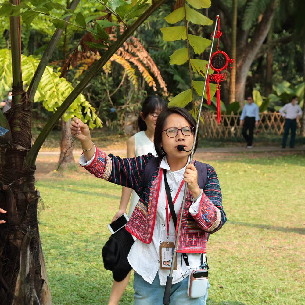西双版纳 中科院热带植物园西区讲解丨精选导游讲解丨多场次可选
