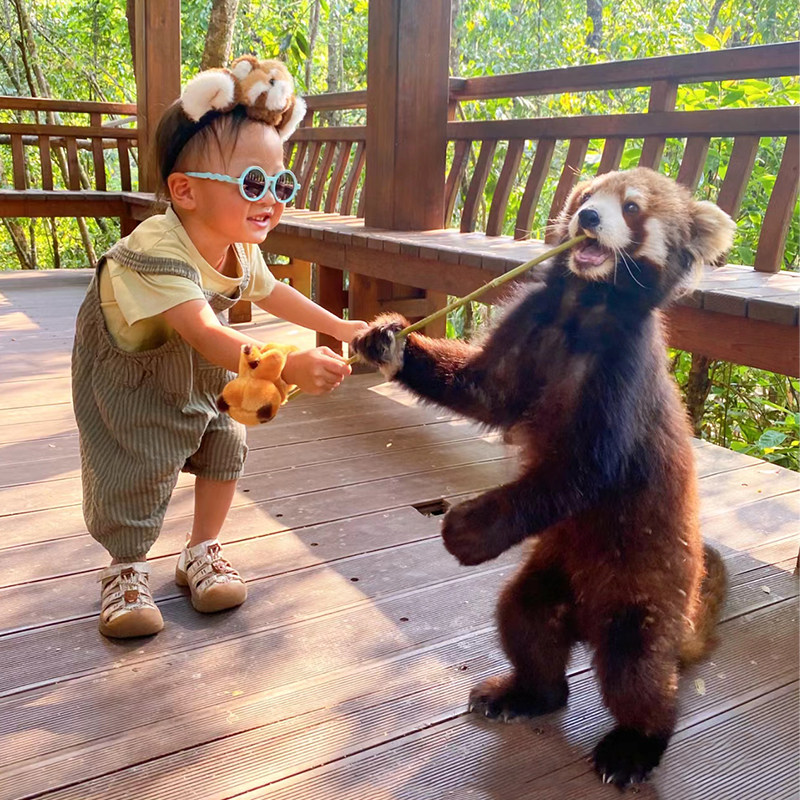 【一家一团】云南西双版纳旅游-普洱太阳河森林公园纯玩一日游